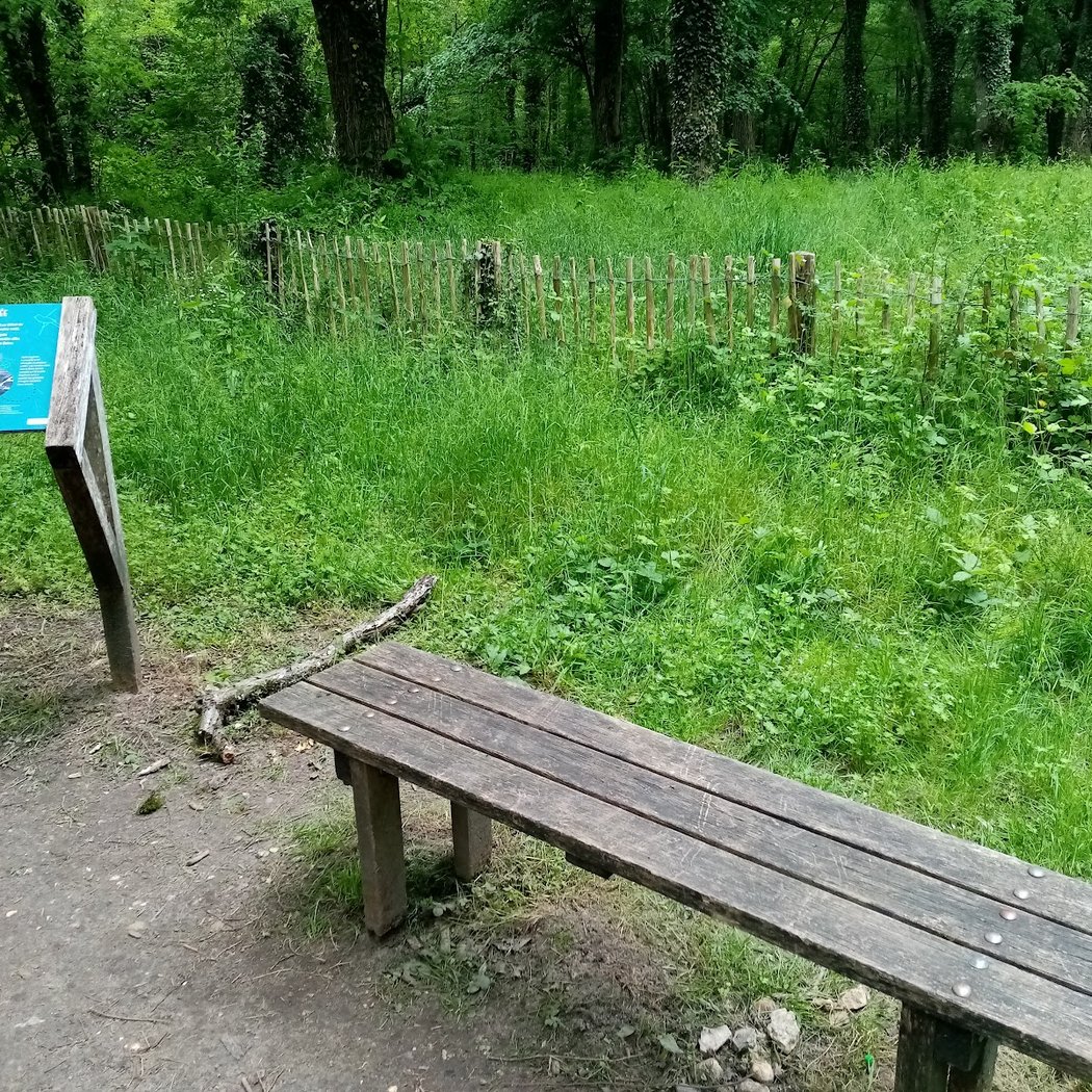 Parc de Livry 3